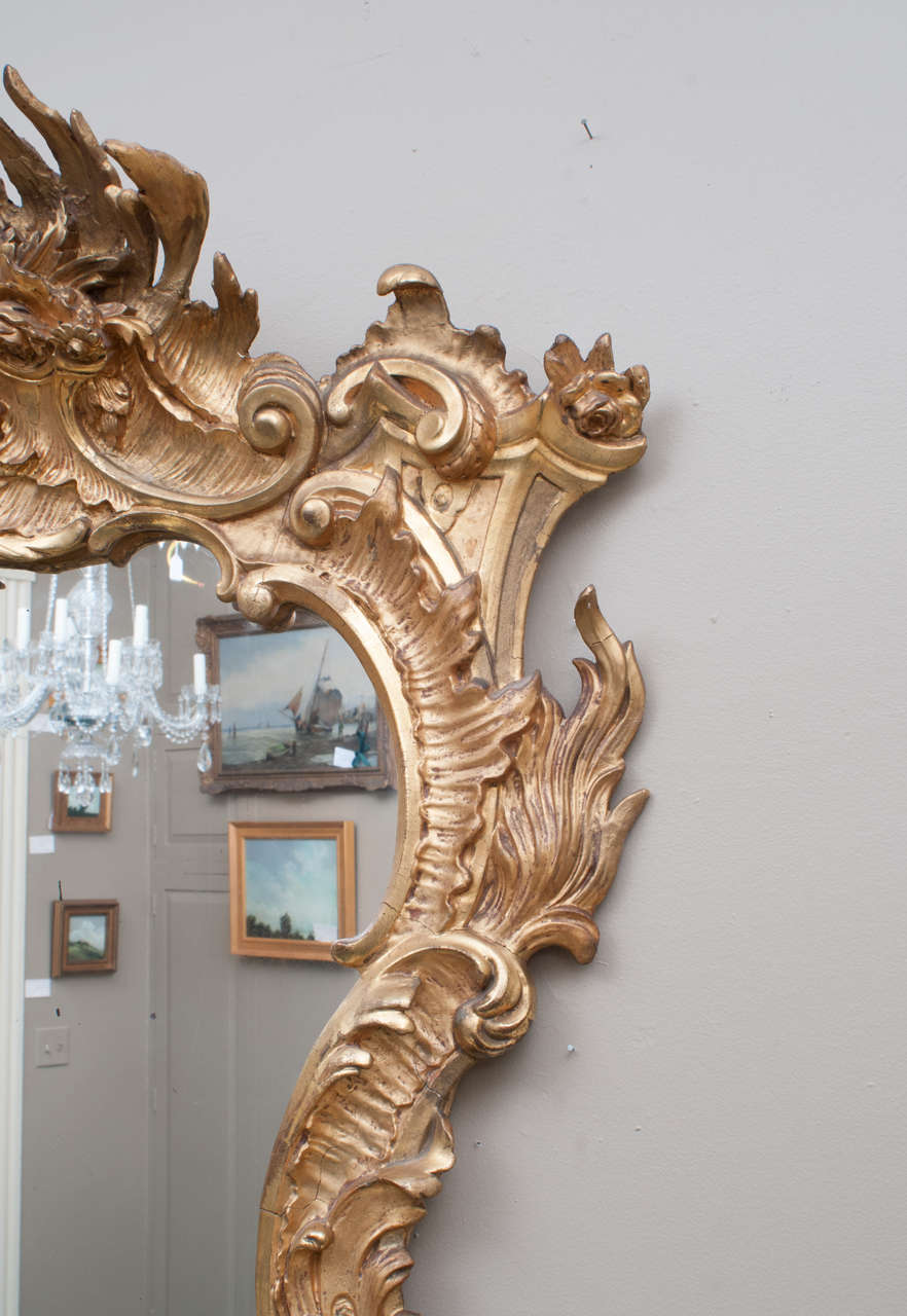 Venetian Style Rococo Gilt Mirror, Italy, circa 1895 In Excellent Condition In Alexandria, VA