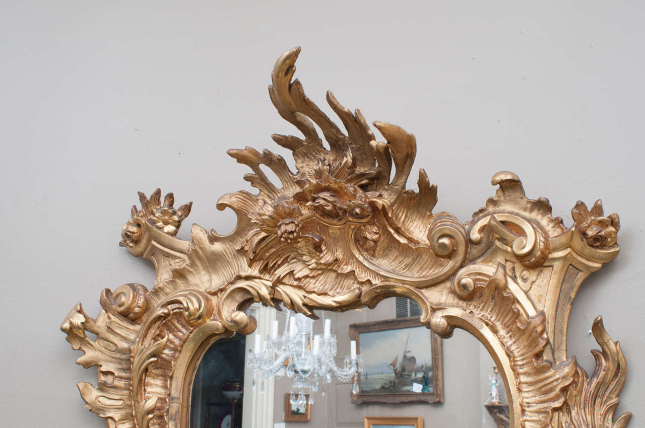 Late 19th Century Venetian Style Rococo Gilt Mirror, Italy, circa 1895