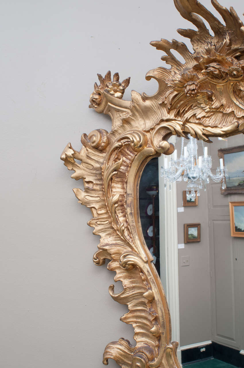 Venetian Style Rococo Gilt Mirror, Italy, circa 1895 1