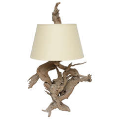 Sculptural 1950s Driftwood Table Lamp