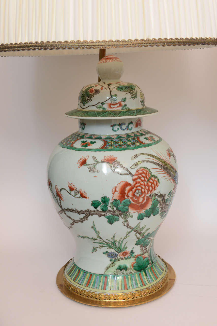 Porcelain Pair of 19th Century Chinese Ginger Jar Lamps, with Painted Birds and Flowers For Sale
