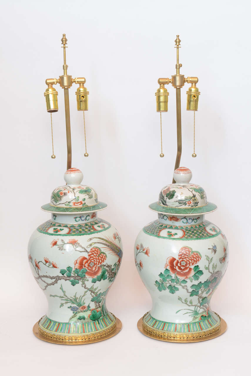 Pair of 19th Century Chinese Ginger Jar Lamps, with Painted Birds and Flowers For Sale 2