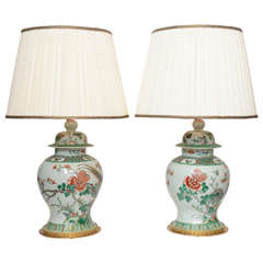 Pair of 19th Century Chinese Ginger Jar Lamps, with Painted Birds and Flowers