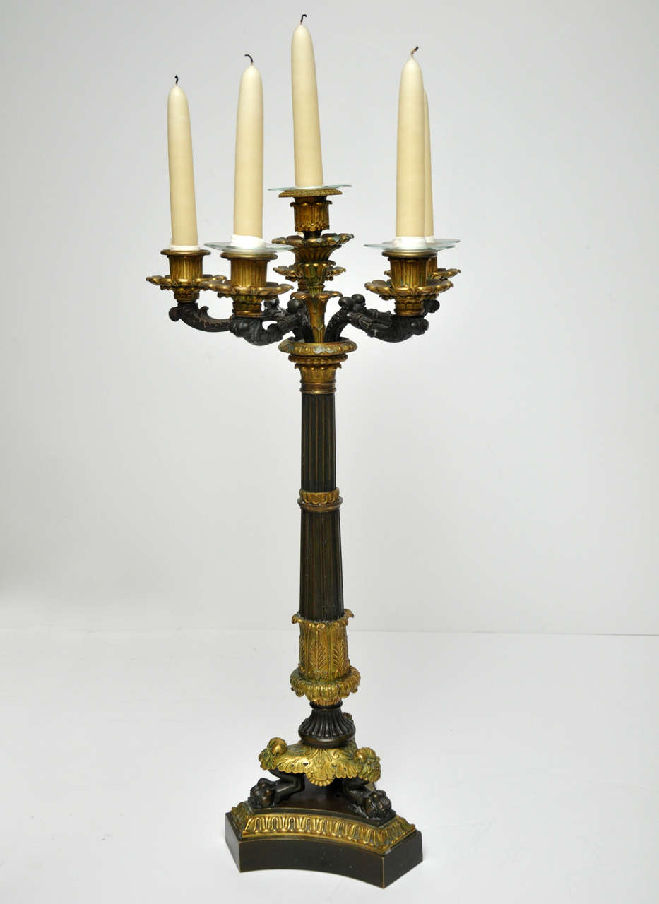 Louis Philippe Pair French Louis Phillip Six-Light Candelabra, circa 1840 For Sale