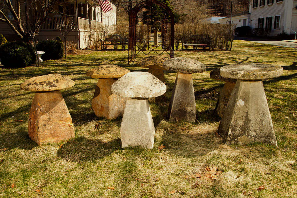 Collection of 18th C English Staddlestones