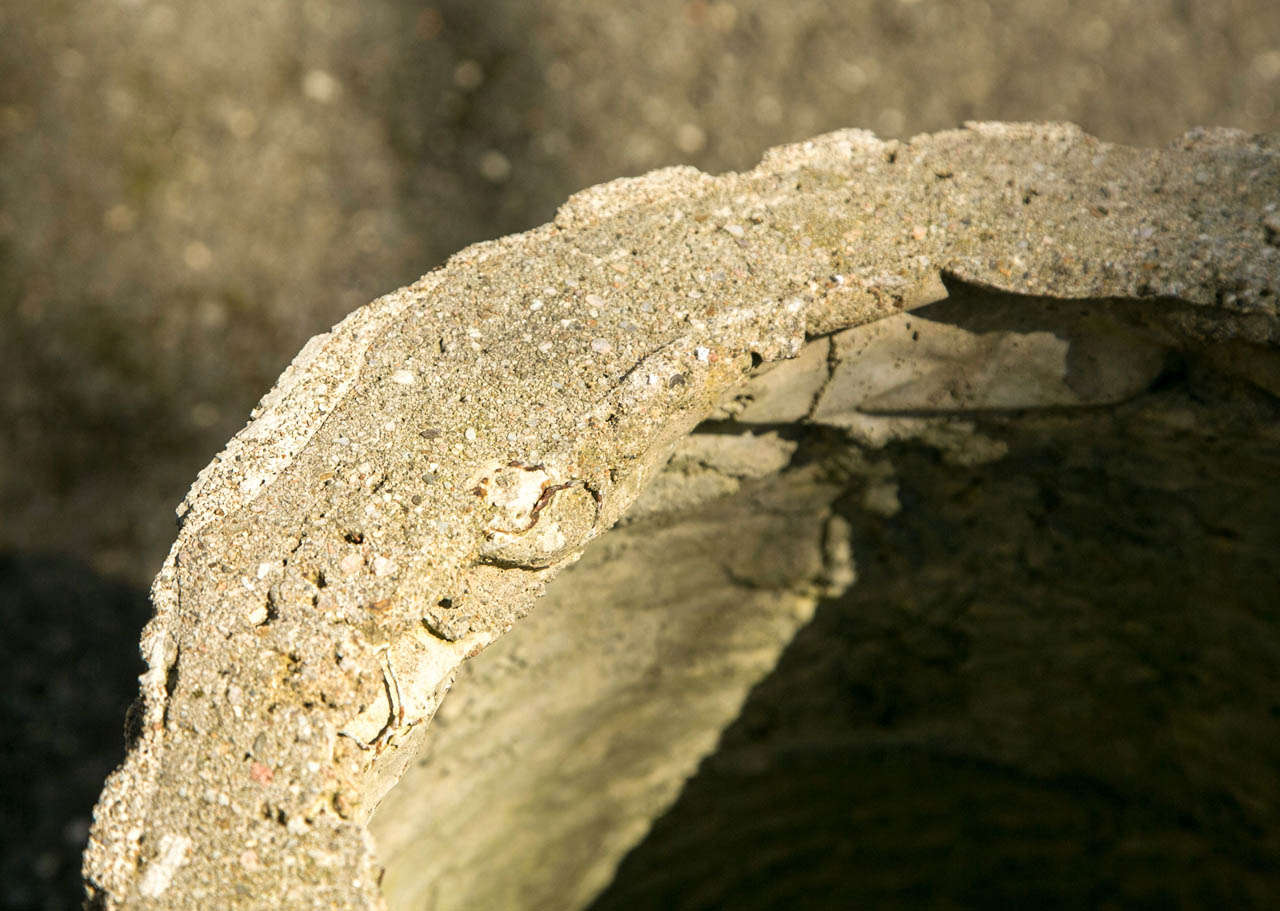 Faux Bois Tree Trunk Planter For Sale At 1stDibs Faux Tree Trunk