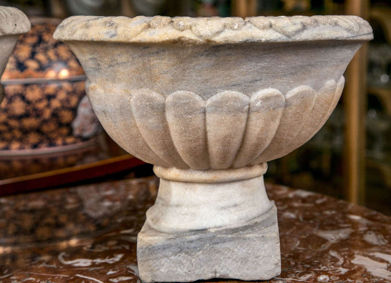 Classical Roman Two Similar Antique Marble Urns For Sale