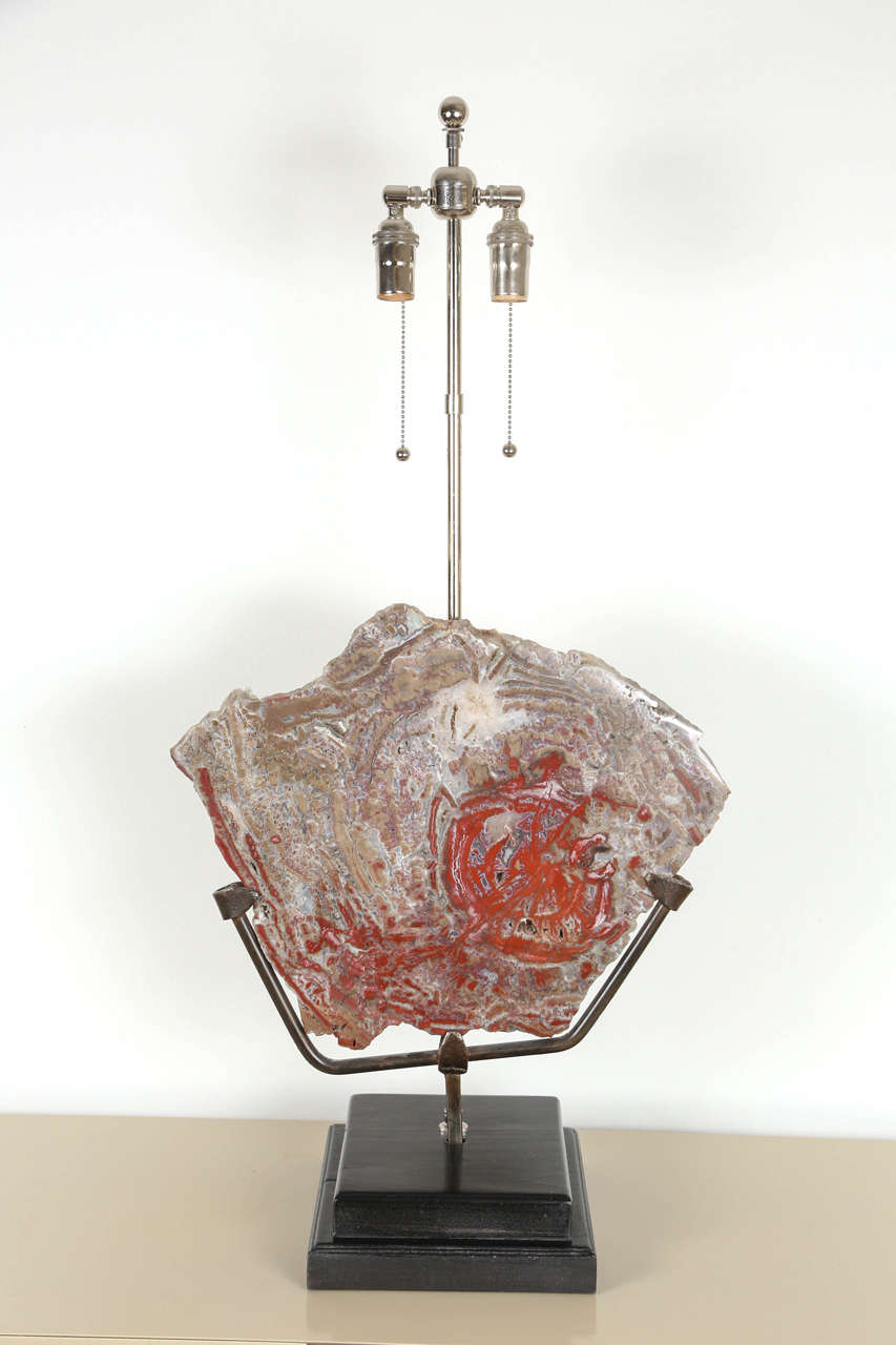 American Spectacular Pair of Petrified Wood Lamps