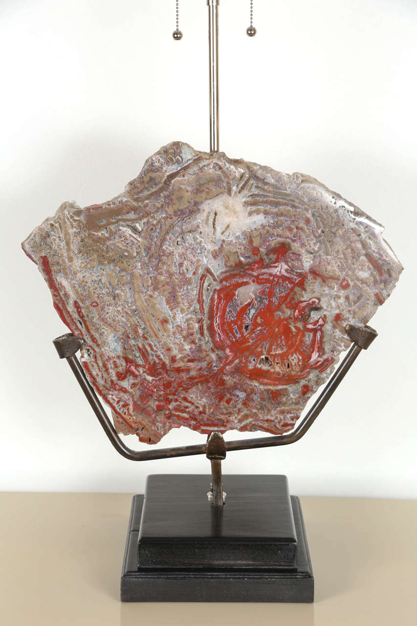 20th Century Spectacular Pair of Petrified Wood Lamps