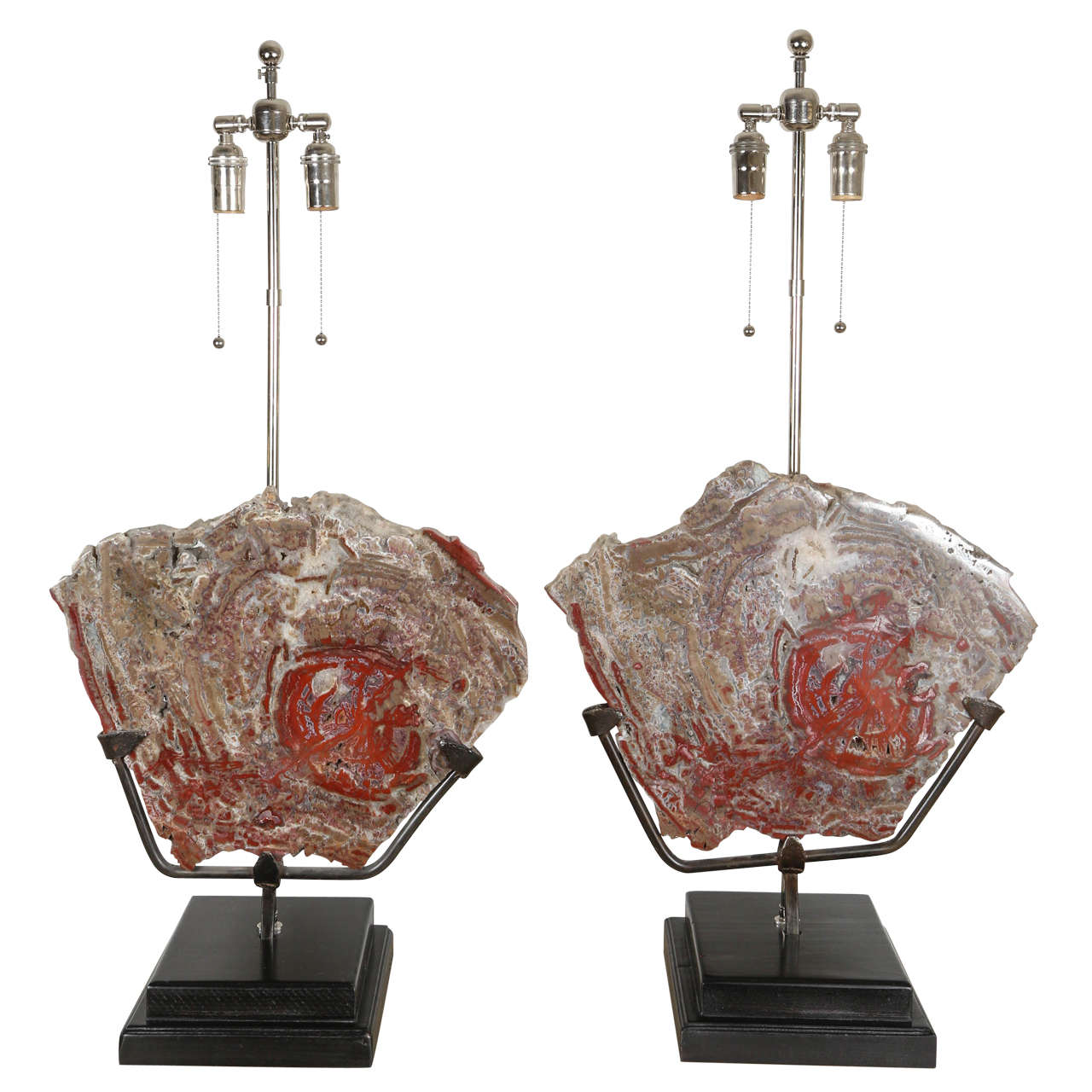 Spectacular Pair of Petrified Wood Lamps