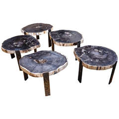 Oval Coffee Tables with Petrified Wood Top and Tripod Iron Base