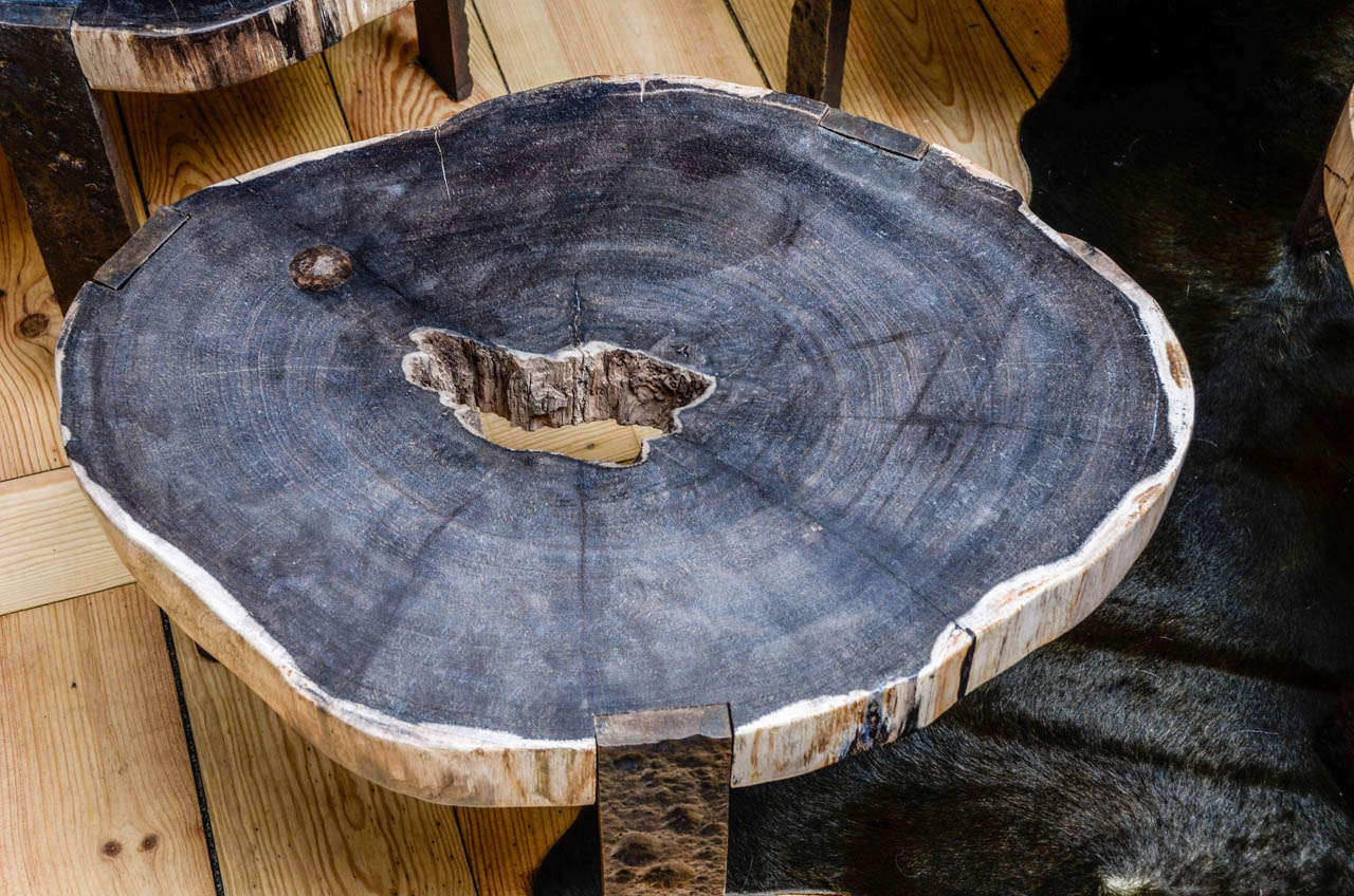 Image Result For Petrified Wood Coffee Table Oval Coffee Table With Petrified Wood Top At Stdibs DSC5832 Petrified Wood Coffee Table Oval Coffee Table With Petrified Wood Top At Stdibs