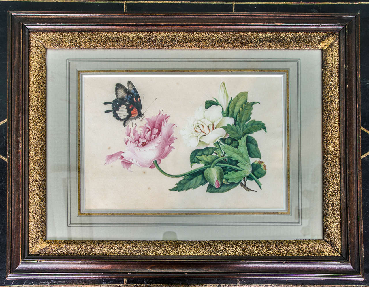 An extremely charming and detailed watercolour depicting two blossoming branches of peonies with a butterfly perching down on a flower. It is very likely to be a Chinese work dating from, circa 1820-1840. Paper in excellent condition.
Framed with