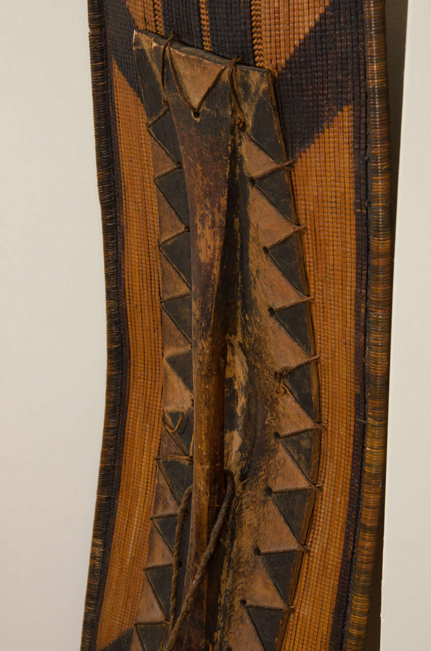 Early 20th Century African Poto Tribal Wicker Shield, Congo 3