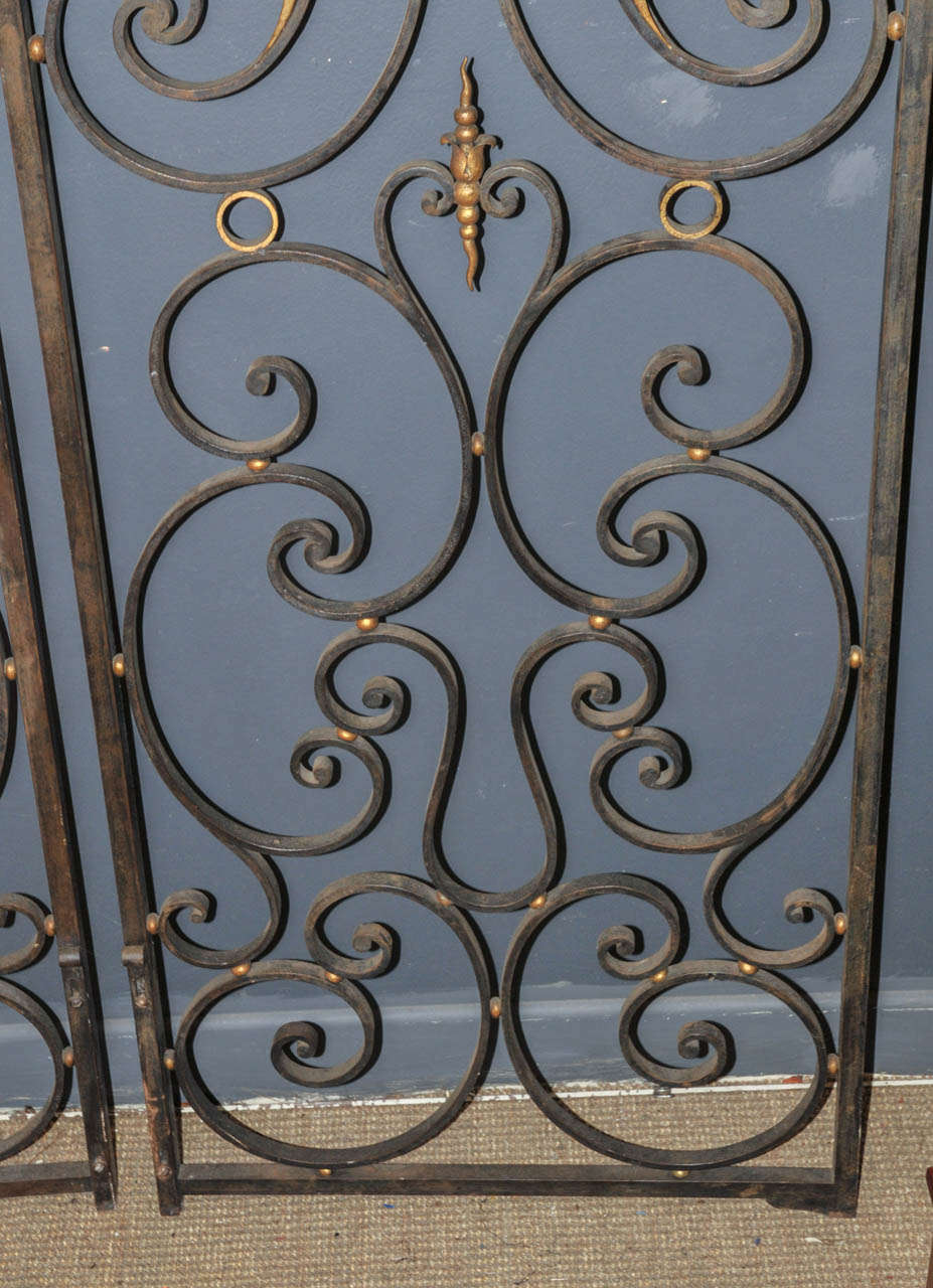 Pair of 1940's Wrought Iron Decorative Doors For Sale 3