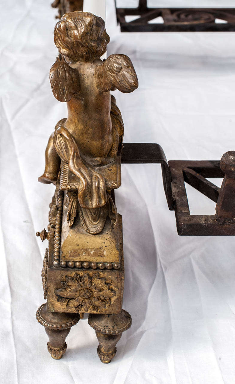 Iron 19th Century Gilt Bronze Firedog For Sale