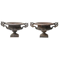 Pair of 19 th C. Iron urns