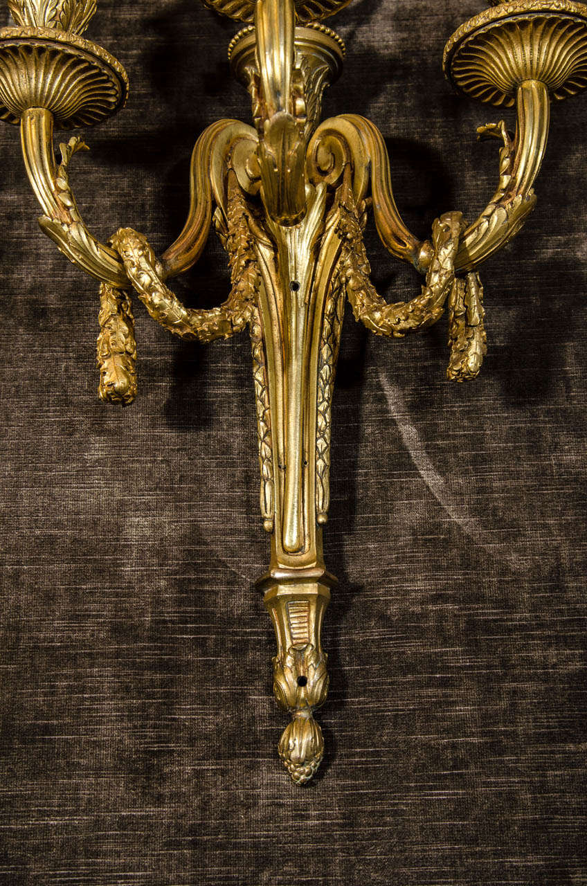 Pair of Antique French Louis XVI Style Gilt Bronze Three-Light Sconces In Good Condition In New York, NY