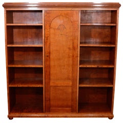 Neoclassical Mahogany, Birch and Ash Biedermeier Bookcase