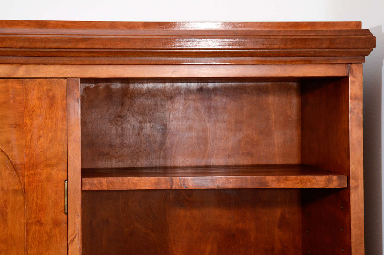 Neoclassical Mahogany, Birch and Ash Biedermeier Bookcase In Good Condition In New York, NY