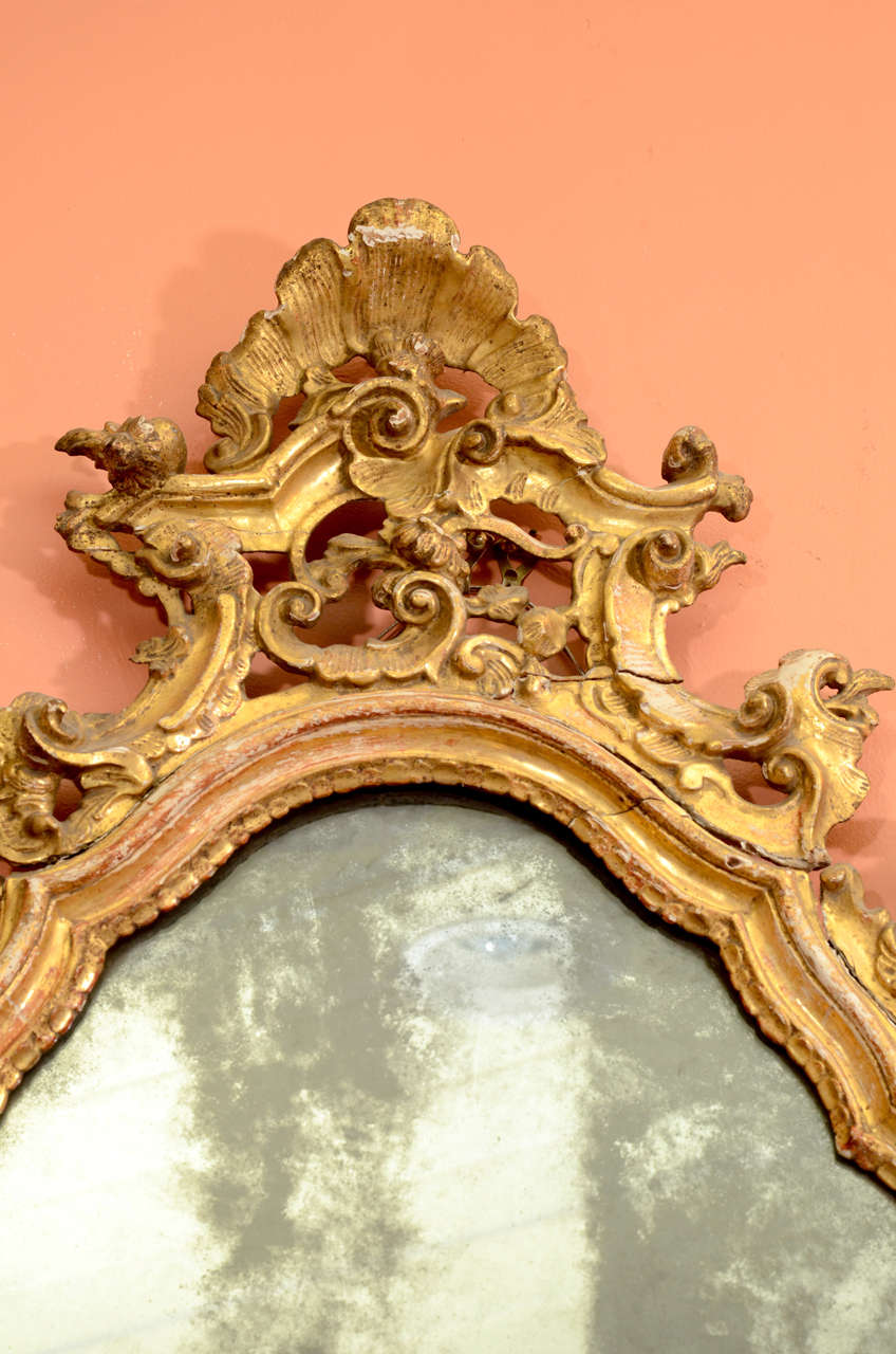 18th Century and Earlier Pair of Italian Rococo Mirrors
