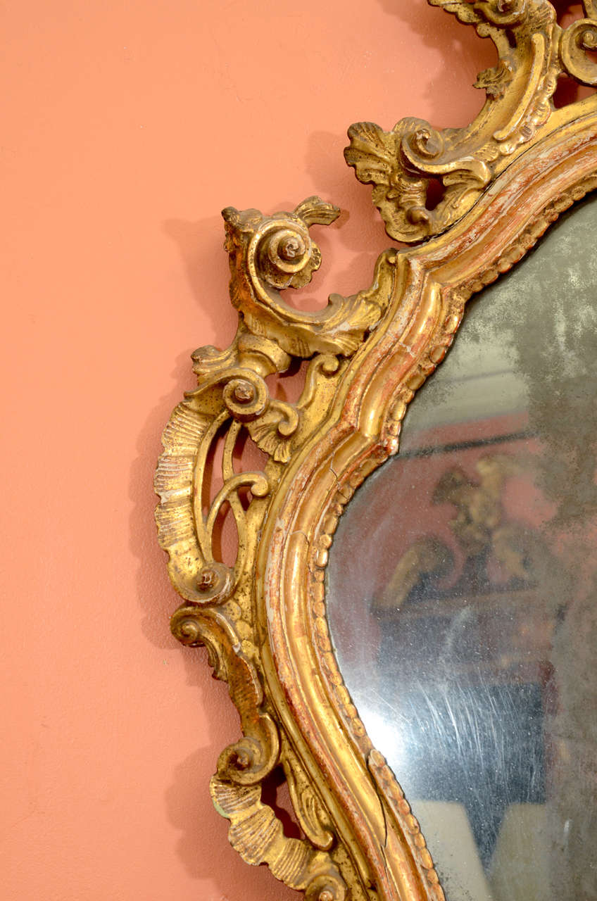 Pair of Italian Rococo Mirrors 1