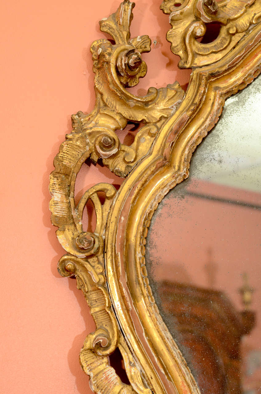 Pair of Italian Rococo Mirrors 2