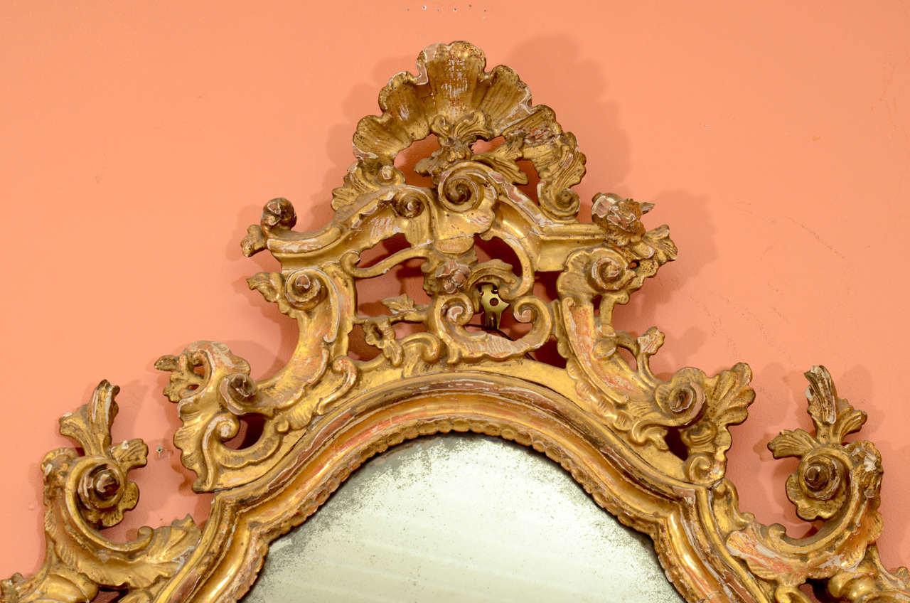 Pair of Italian Rococo Mirrors 3