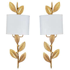 Gilt Iron Leaf Motif Sconces with Shield Shades