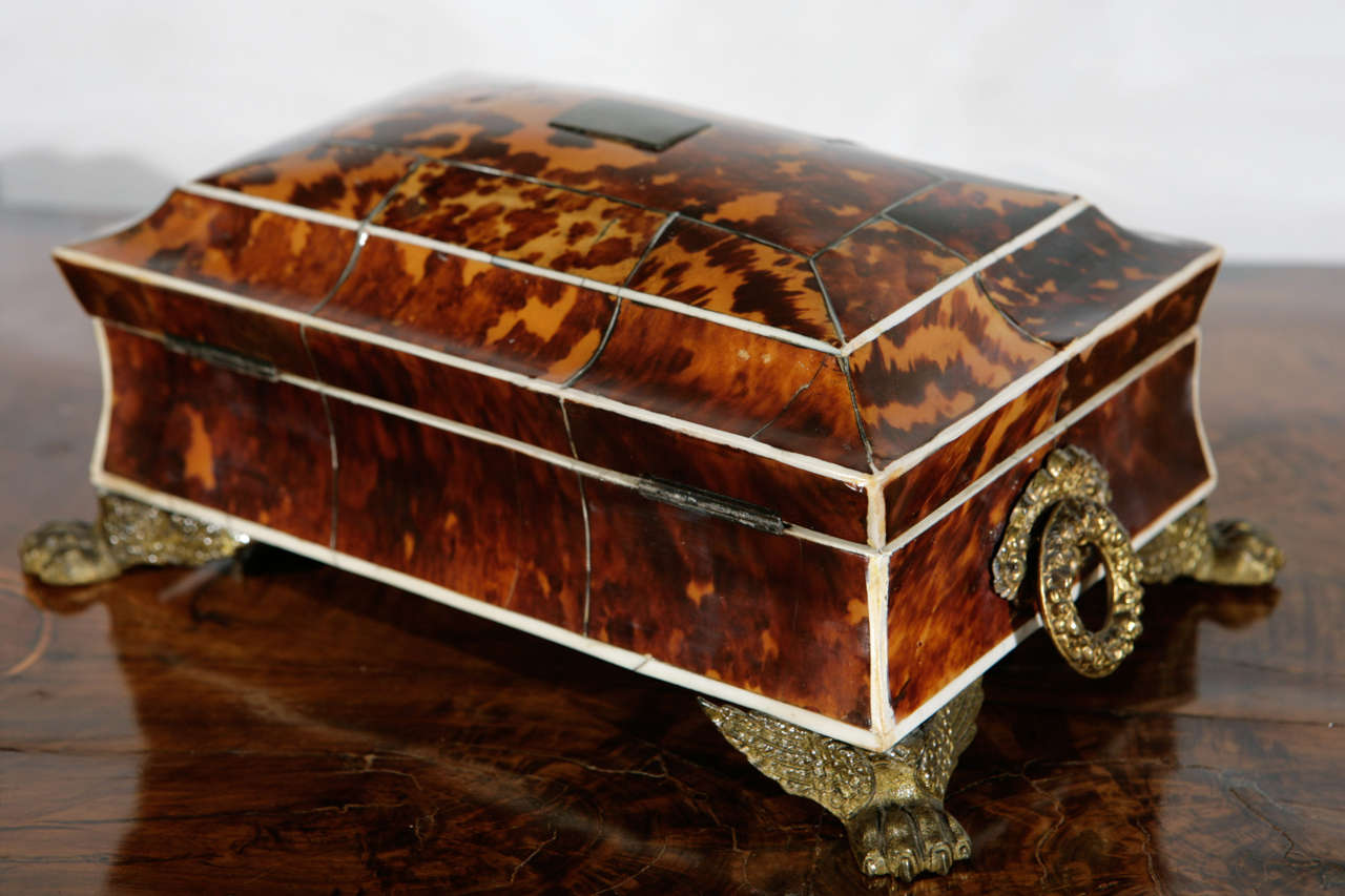 19th Century English Regency Tortoiseshell Sewing Box 1