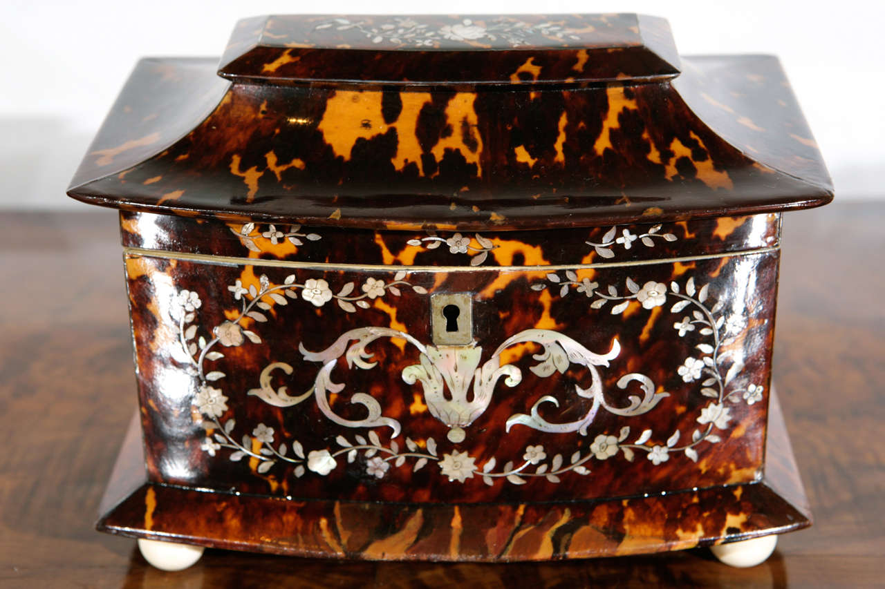 19th C. English Regency Tortoise Shell Tea Caddy