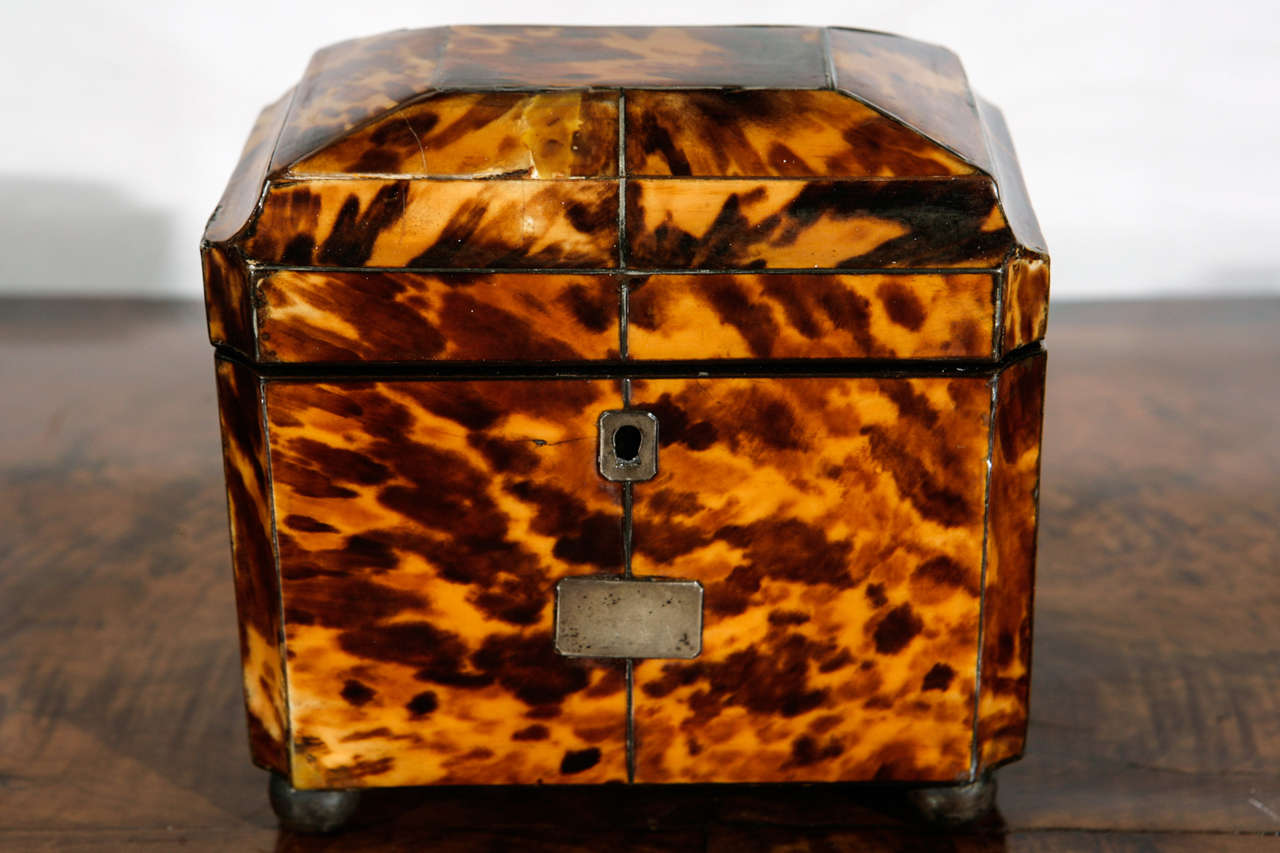Early 19th c. English Regency Tortoise Shell Box with Sterling Inlay
