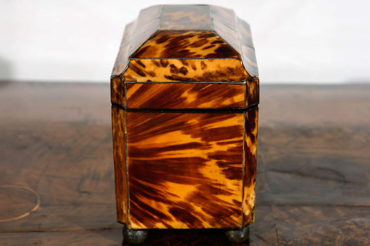 19th Century 19th c. English Regency Tortoise Shell Box with Sterling Inlay