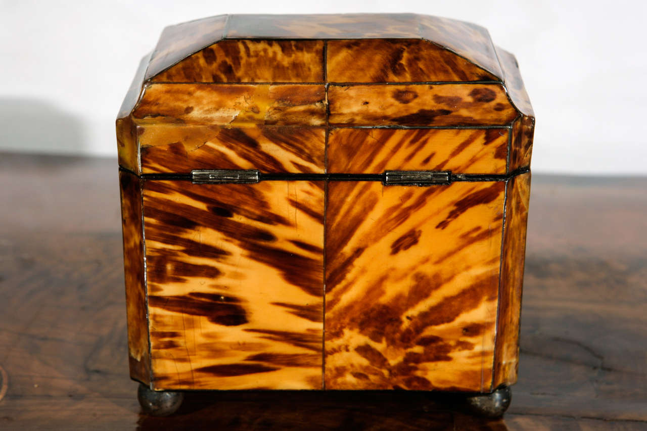 19th c. English Regency Tortoise Shell Box with Sterling Inlay 1