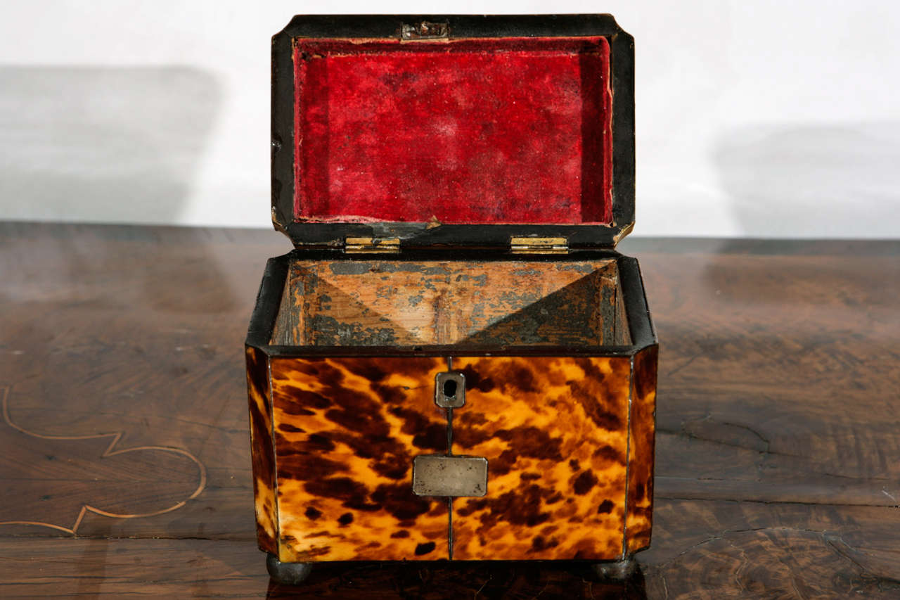 19th c. English Regency Tortoise Shell Box with Sterling Inlay 2