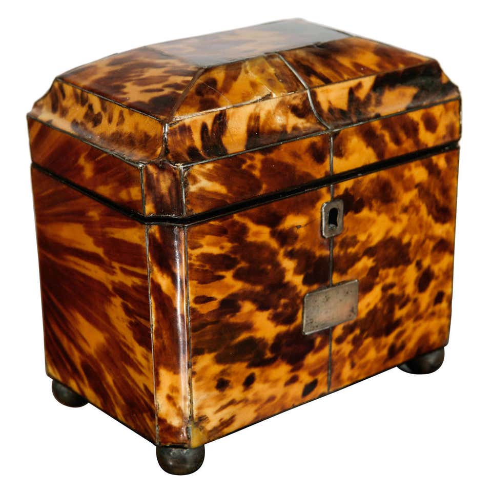 19th c. English Regency Tortoise Shell Box with Sterling Inlay at ...