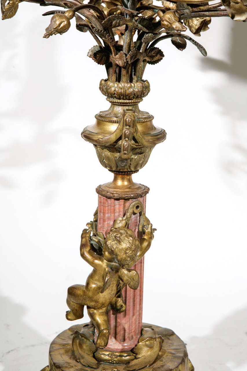 Pair of 19th Century French Bronze and Coral Marble Candelabra Lamps For Sale 5