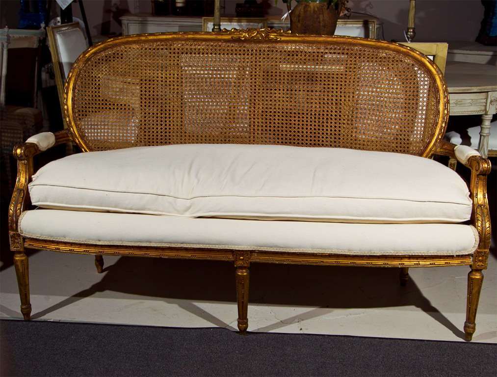 Elegant French Louis XIV style settee, circa 1920s, overall gilded, the oval caned back with bow crest joint by a cushioned seat and padded arms, raised on fluted tapering legs ending in toupie feet.