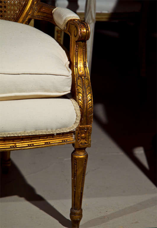 20th Century French Louis XIV Style Caned Back Settee