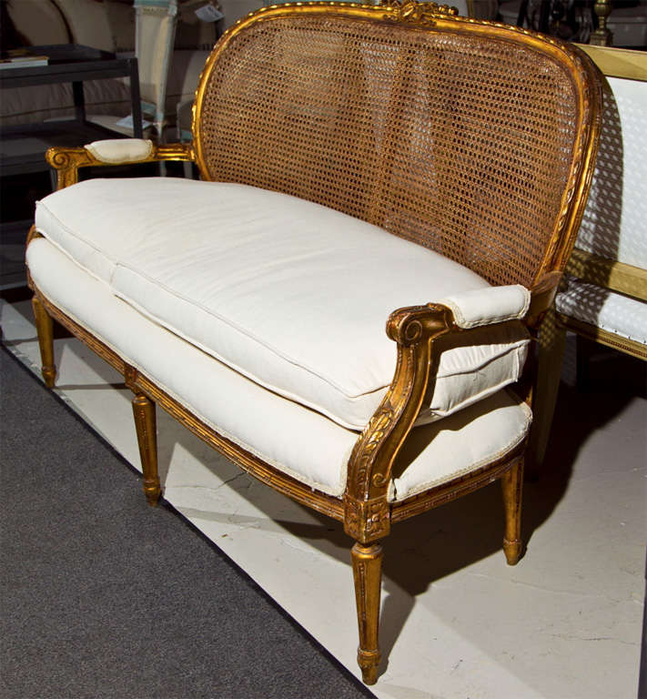French Louis XIV Style Caned Back Settee 1