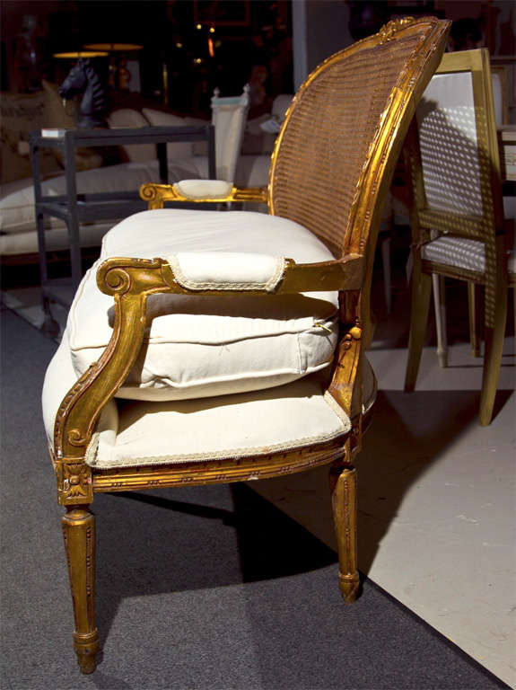 French Louis XIV Style Caned Back Settee 2