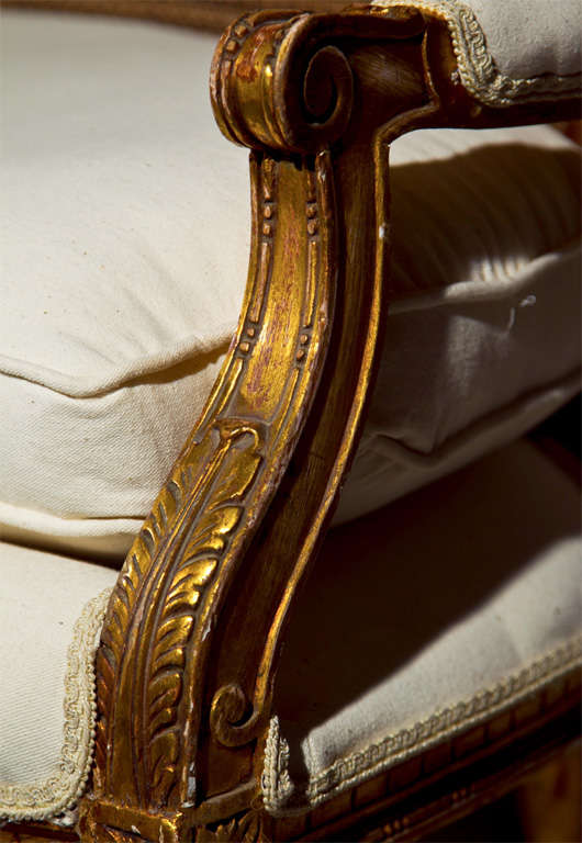 French Louis XIV Style Caned Back Settee at 1stdibs