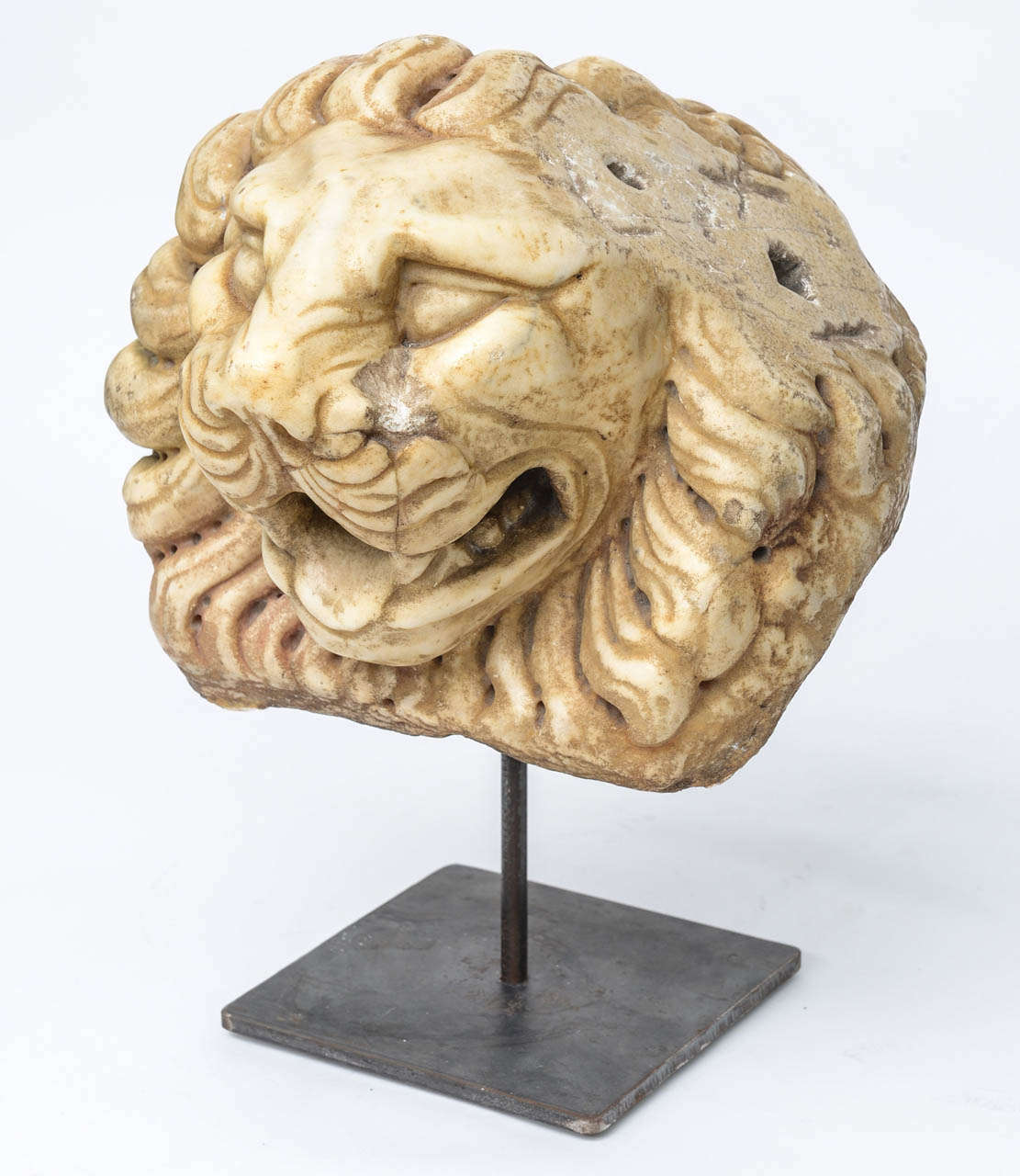 An impressive Baroque fountain spout in the form of a lion's head, probably carved in the Italian Veneto region.