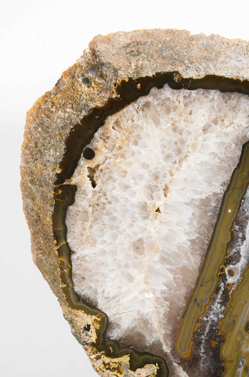 Impressive and Organic Sliced Rock Geode Specimen in Shades of Tobacco and Umber 3