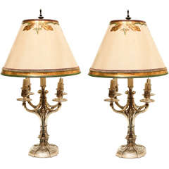 Pair of 19th c. French Silvered Bronze Candelabra Lamps