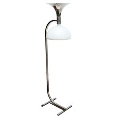 Rare Floor Lamp by Franco Albini and Franca Helg