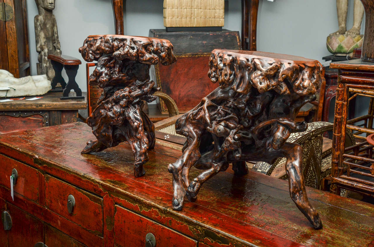 Turn of the century Qing dynasty Southern Chinese carved elm root stool (two available, priced and sold separately).