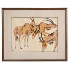 John Fenton "Antelope" Watercolor on Paper, Woodstock New York