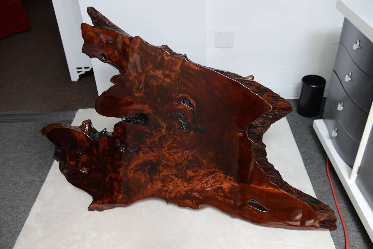Beautiful vintage cross cut of a tree trunk as a coffee table creates a beautiful organic anchor in a room.  The base has been completely refinished in resin coating for use outdoors or indoors.  The resin allows the flames and burls in the wood to
