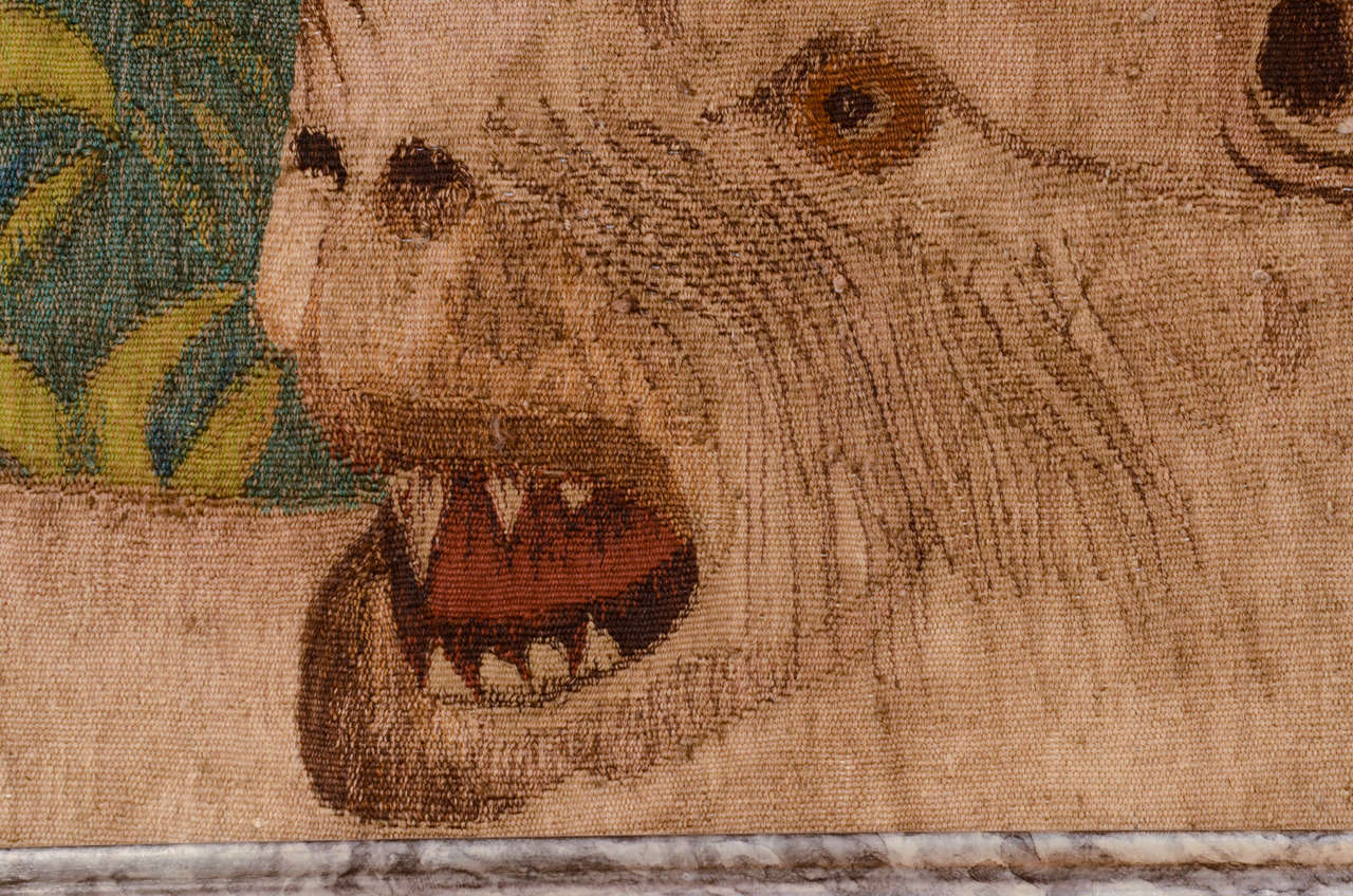 Rococo Tapestry of a Leopard